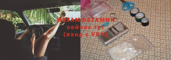 прущие грибы Каменногорск