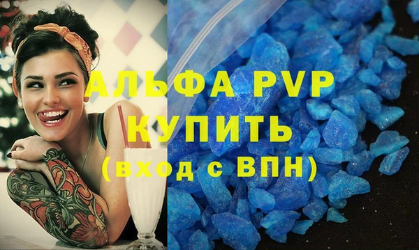 прущие грибы Каменногорск