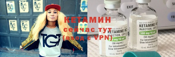 прущие грибы Каменногорск