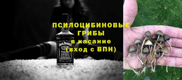 прущие грибы Каменногорск
