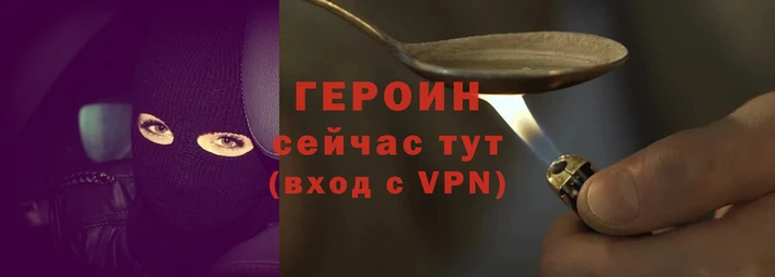 прущие грибы Каменногорск