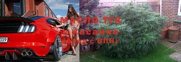 прущие грибы Каменногорск