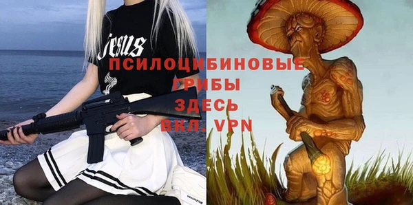 прущие грибы Каменногорск