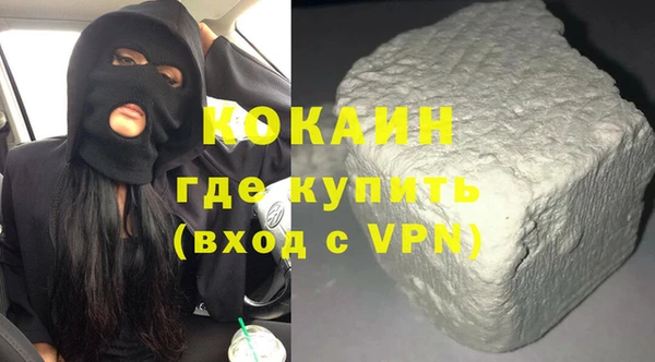 прущие грибы Каменногорск
