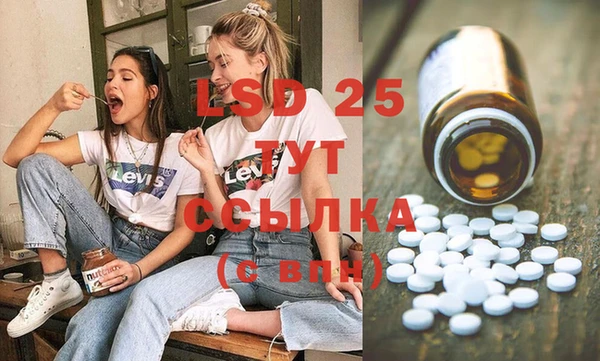 прущие грибы Каменногорск